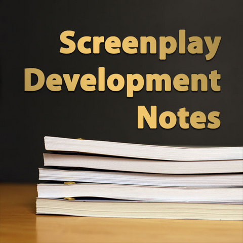 screenplay-development-notes_medium